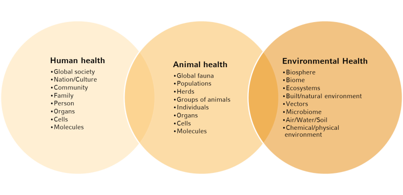 One Health One Health